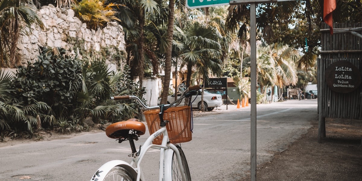 Vélo blanc au panier d'osier appuyé contre un panneau, dans une rue bordée de palmiers